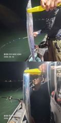 [진해] <내만갈치>선비 이벤트! 장원250여수 초보도 100수이상 굿굿 사진