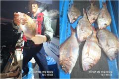 [부산] 참돔 4짜. 대박 왕전갱이 150 마리이상 조황. 사진