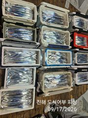 키로급외 사이즈굿! 돌문어사냥 고고고!