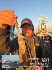 17일, 군산 쭈꾸미~오늘 잘 나오네요~~실시간~군산낚시프라자 하이원호