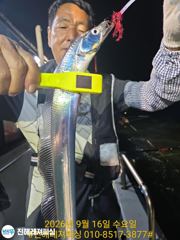내만갈치ㅡ엄청물어ㅡ마릿수 좋고 쿨러가득(예약가능 사진