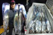 [뉴-한사리호]18일철수 갈치조황입니다 사진