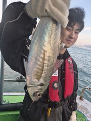 대전갱이~64cm참돔~부시리조황 사진