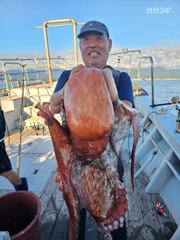 강원고성 22인승 청룡호 오늘도 대왕문어가 반겨주네요. 꽝없는 이벤트 지속중