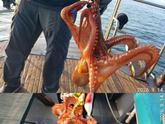 [진해] "" 돌문어 "" 내일 나갑니다.(내일예약가능) 사진