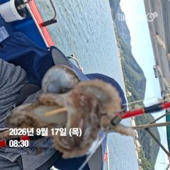 [사천] 9월 19일 쭈 1자리여유 20일 10자리여유 사진