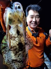 [울진] 9월16일 울진 동우호 무늬오징어 조황입니다 사진