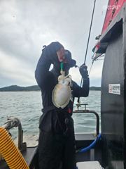 9/17 주꾸미 사진