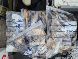 9월18일 해복호 쭈갑조황 사진