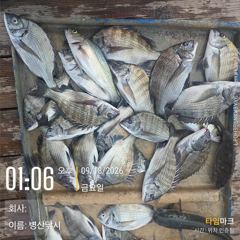 [고성] 병산 감성돔38외 농어 숭어 마리수 선상배및 선외기 흘림조황~… 사진