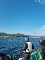 [거제] 감성돔 거제인성낚시 사진