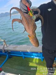 삼천포 제일호 돌문어 조황!! 사진