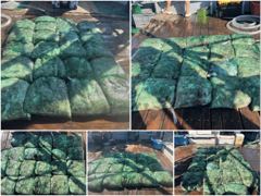 제우스호 글만 보기 사진