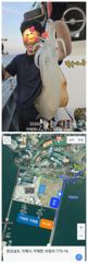( 거제하나호 )무늬오징어. 사진