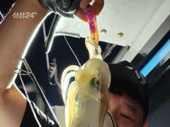 [고성] 무늬팁런 바람 파도속 몬스터와 마릿수 사진