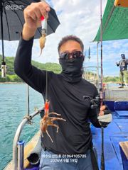 260919 여수 쭈꾸미 호조황 사진