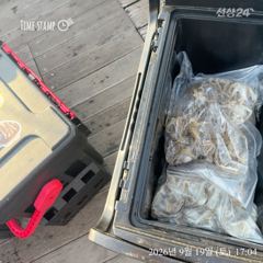 오늘도 깡패를 만났네... 사진