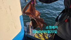 [통영] 추석 문어 잡으러 갑니다 사진