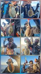 [쭈갑조황] 9.20 하와이호 쭈꾸미 조황소식