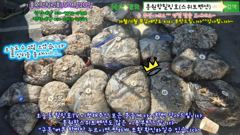 9월20일 홍원항힐링호 대박 쭈꾸미 망테기 조황~!여지없네요^^처음하시는분 들도 쌍걸이 쓰리걸이 ㅎㅎ 기본이 200수오바~장원400수오바~쉴틈없이 올리시다 가셨습니다 ㅋㅋ 사진