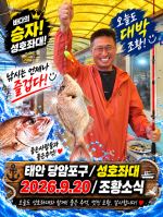 9.20 성호좌대 조황소식 사진