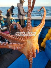 19일, 문어,문어,문어, 덩치급 문어들 제대로 나옵니다.......,망탱이 대박조황~군산낚시프라자 챔피언호
