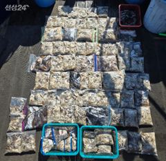 9.20 라이즈호 조황정보(당진 장고항)