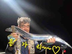[마산] 내만갈치 맞나?!연이은 호조황 3지들이 퍽퍽~~사이즈 좋앙~ 사진