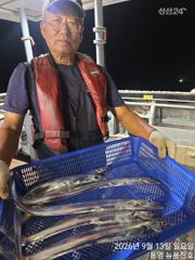 [통영] 수요일 갈치황제낚시 자리여유! 사진