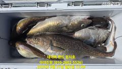 20260921 대구라바 사진