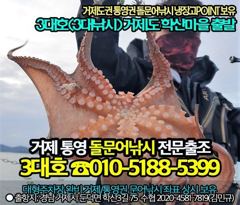 (무늬오징어)오늘 정상출항 가조도 팁런 마릿수 공략~3대호 사진