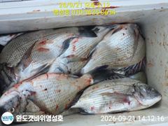 명성호 갯바위조황 사진
