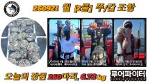 9/21 월 [2물] 쭈꾸미/갑오징어 조항 입니다. 사진