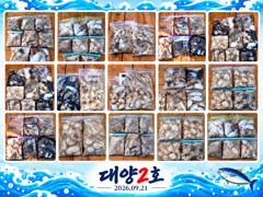 대양2호 신조선 조황사진(26.09.21) 사진