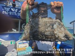 [먹물조황] 9/21 쭈꾸미 갑오징어 조황 사진