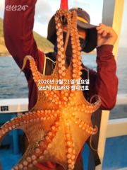 21일 주간문어~오늘도 잘 나오고있어요~~~덩치급 문어들~길시간~ 군산낚시프라자 임마누엘호