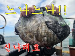 신나래호) 가을 쭈꾸미 오늘도 하루종일 잘나오내요
