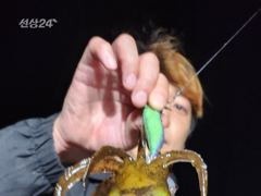 오늘도 키로오버 몬스터와 왕무시들로 65개 사진