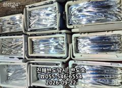 22일,내만갈치,호조황연속,엄청나게 나옵니다.오늘출항확정(화,수,목~예약가능) 사진