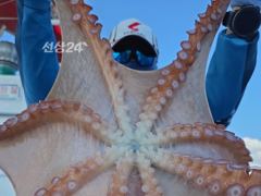 22인승 창명호 내일 수요일(23일) 대왕문어 출조 사진