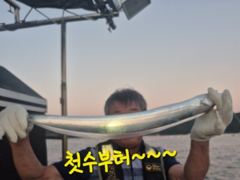 내만갈치 사이즈 마리수 굿굿!!! 낚낚GOGO~ 사진