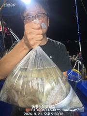 통영 송현호))돌문어 주간,야간 마리수 쏟아집니다~ 사진