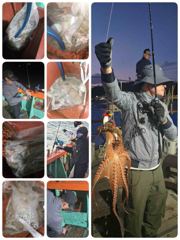 돌문어!! 쿵쾅 오늘밤모집중 (수목금토일 1부2부쭉달령ᆢㄷ) 사진