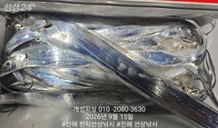 [진해] 준내만 4지급 텐빈 은빛 갈치 대박 쿨러 가득 조황!! 추석 당… 사진