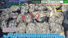 9월22일 홍원항힐링호 Very Good~ 쭈갑 망테기 조황~!장원8kg 2등7.5kg 3등 7kg 등등...오늘도 겁나게 올리시다 가셨네요 ㅋㅋ 수고들 많으셨습니다. 사진