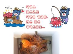 삼천포덕성호 돌문어, 주꾸미 출조 예약 받습니다.(2026년 9월 22일 조황사항) 사진