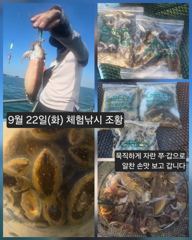 [피닉스피싱호] 9월 22일(화) 체험낚시 조황 - 묵직하게 자란 쭈·갑으로 알찬 손맛 보고 갑니다 사진