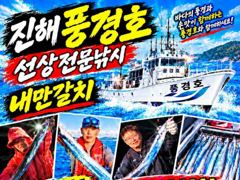 <<내만갈치>>3자리 마릿수 씨알굿 최신굳조황 사진