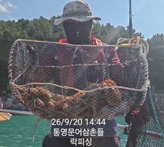 (문어)가을 씨알 마릿수 OK 망탱이 조황 달성~락피싱(24일 예약)