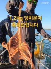 삼천포 마린보이 9. 23. 덩치 주간문어 대박조황으로 다녀왔습니다.